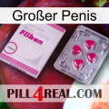 Großer Penis 32